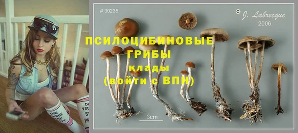 PSILOCYBIN Дмитров