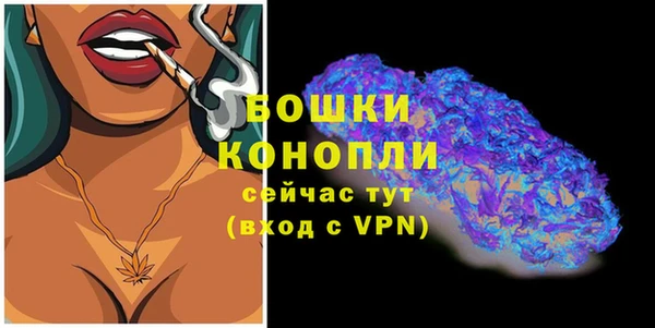 тгк Снежинск