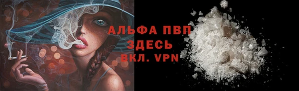 мет Дмитриев