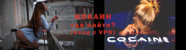 мет Дмитриев