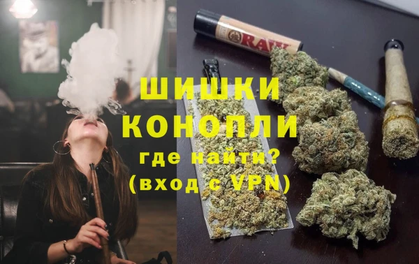 мет Дмитриев