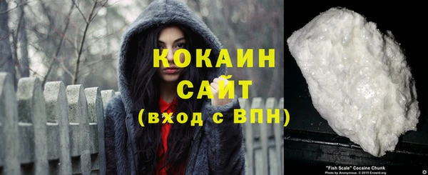 мет Дмитриев